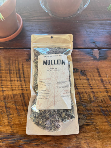Mullein Tea