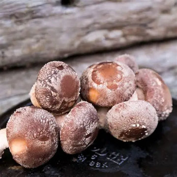 Mushrooms